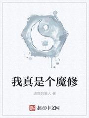 我真是个魔修封面