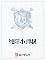 纯阳小师叔封面